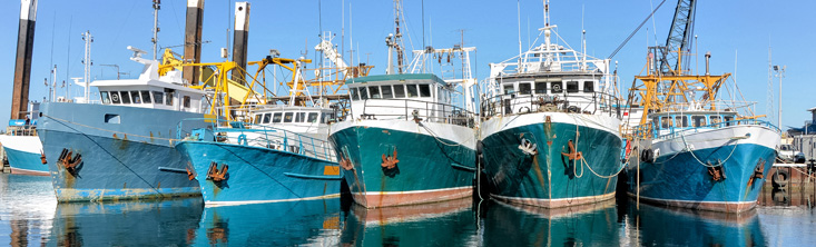 fishing boats 02