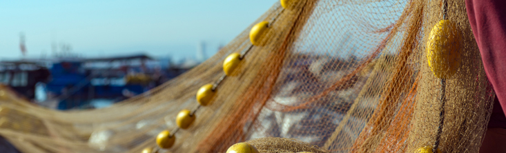 fishing nets