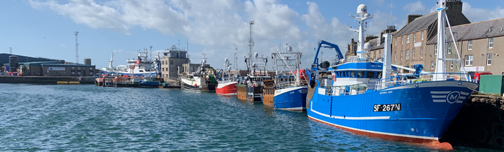 peterhead harbour day